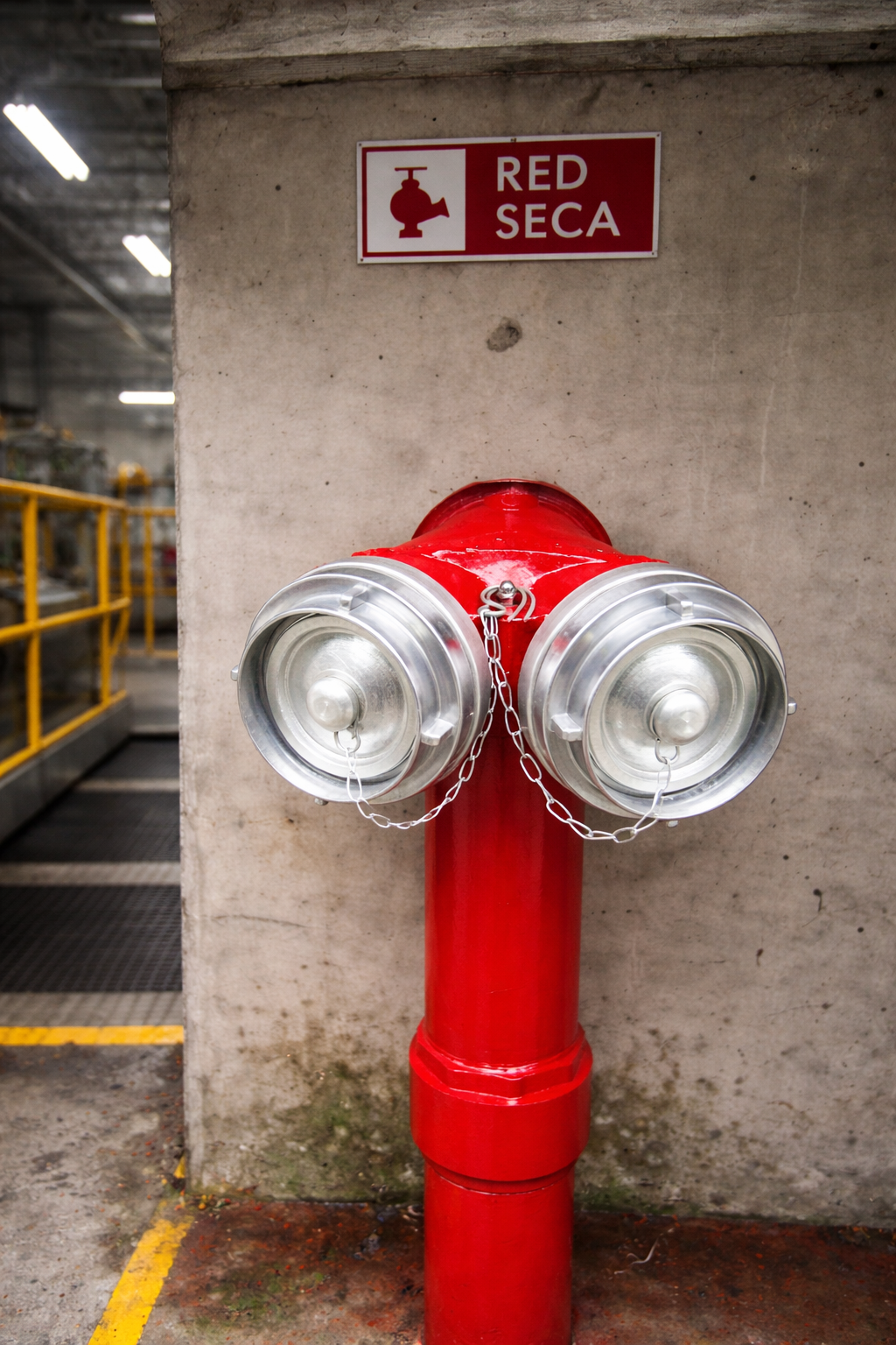 Servicio de red seca